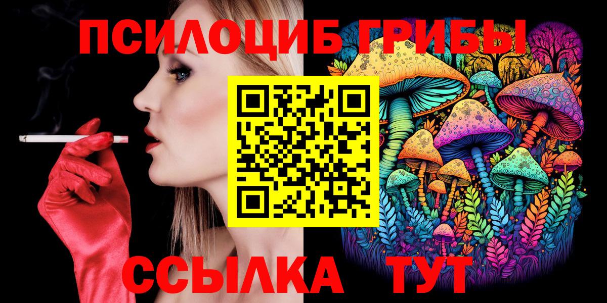 Котельники  Галлюциногенные грибы Psilocybine cubensis  Вход с VPN 